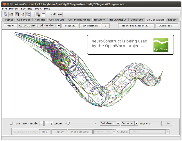 Neuroconstruct Software For Developing Biologically Realistic 3d Neural Networks